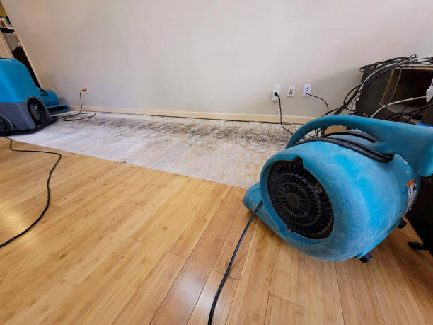 Professional Basement Flood Cleanup technician working in Windsor Heights, WV